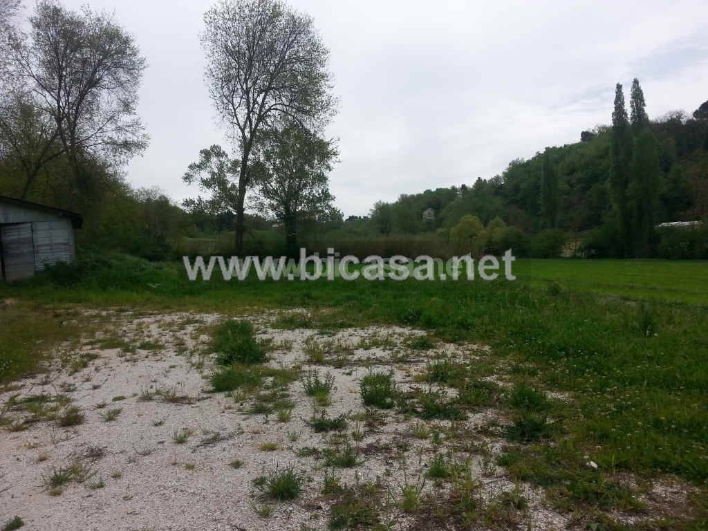 immagine annuncio 2 di 4