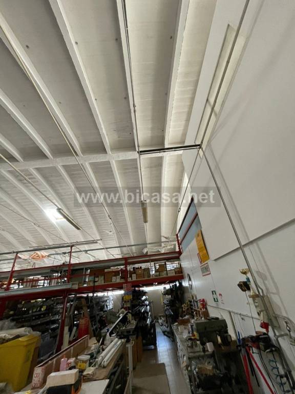 immagine annuncio 3 di 9