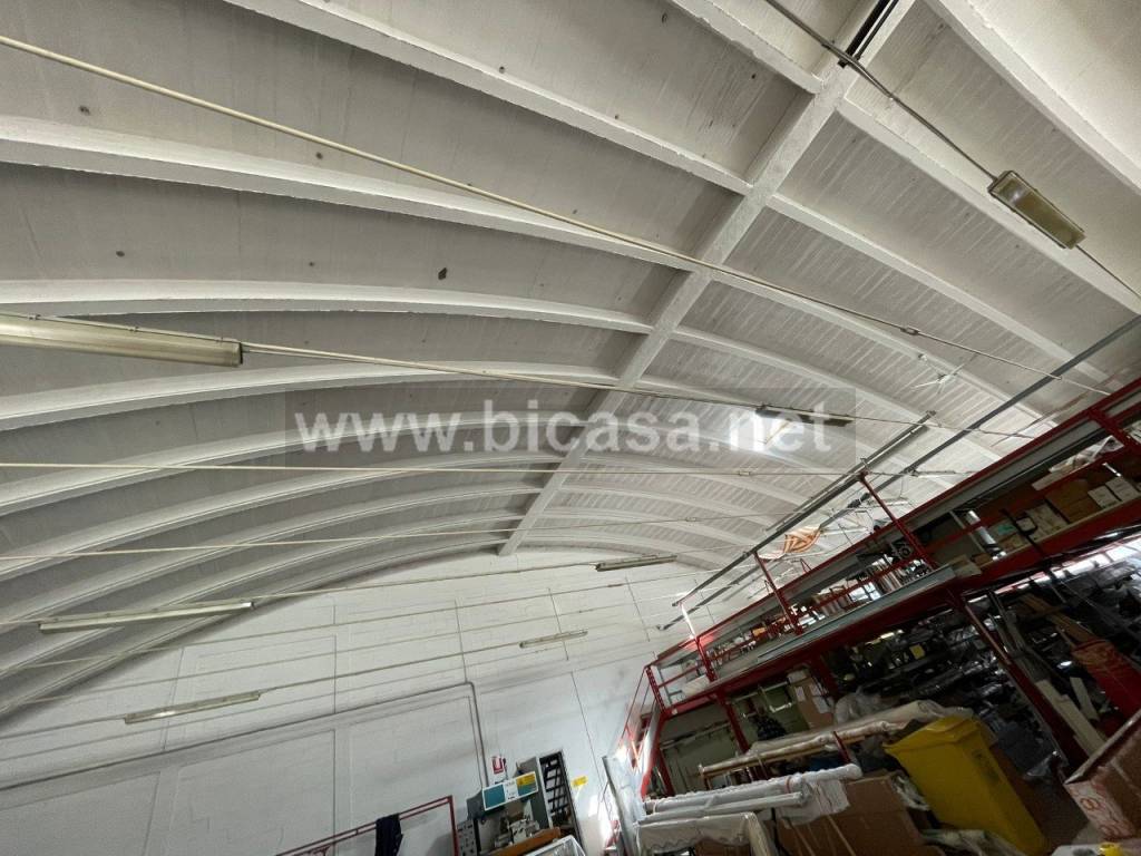 immagine annuncio 4 di 9