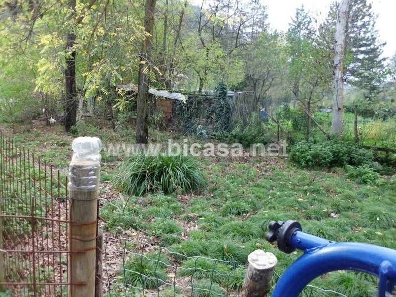 immagine annuncio 3 di 8