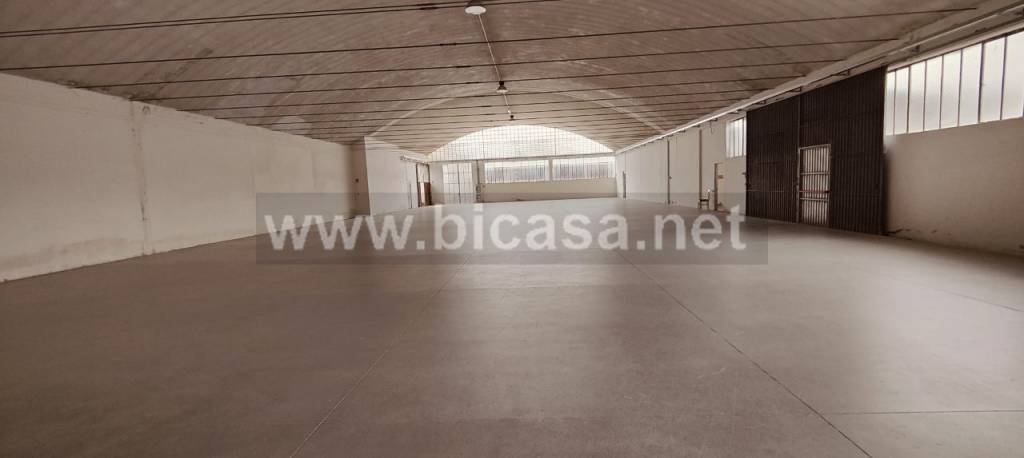 immagine annuncio 2 di 6