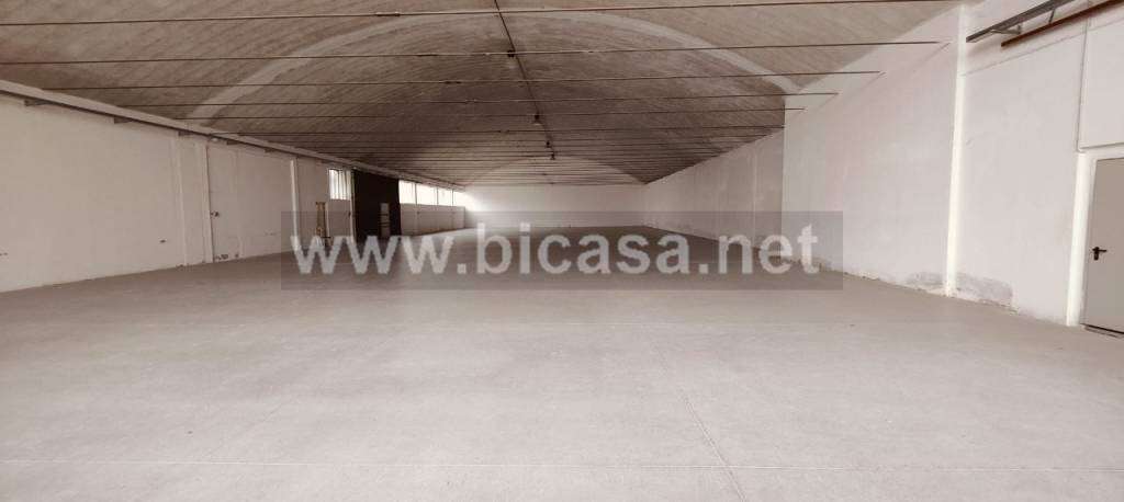 immagine annuncio 3 di 6