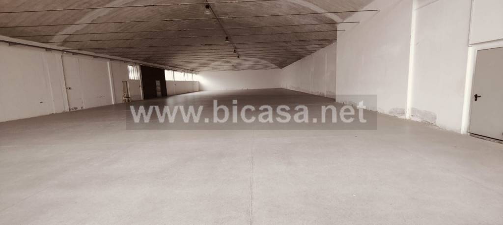 immagine annuncio 4 di 6