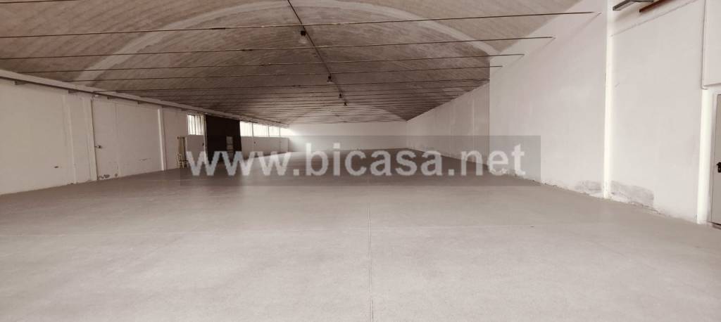 immagine annuncio 5 di 6