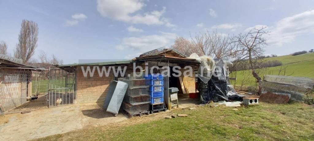 immagine annuncio 4 di 9