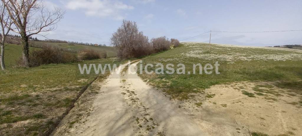 immagine annuncio 7 di 9