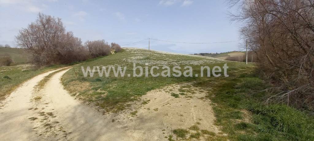 immagine annuncio 8 di 9