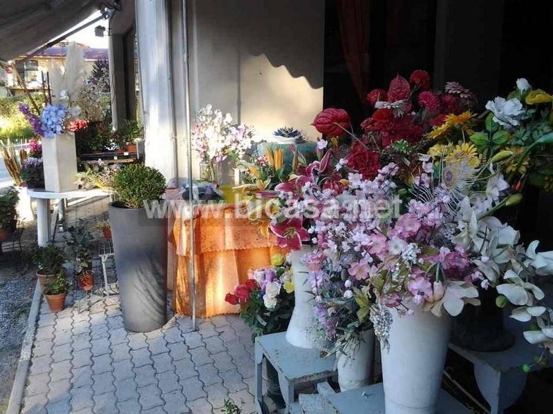 immagine annuncio 4 di 11