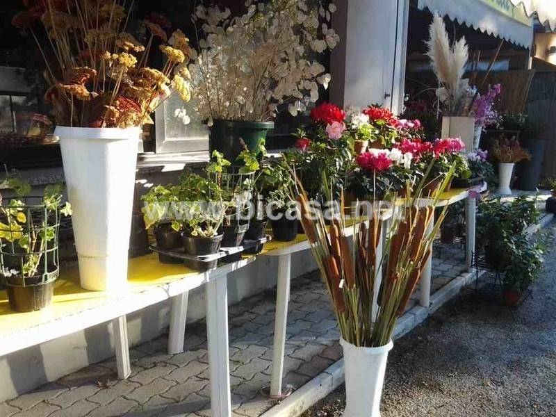 immagine annuncio 5 di 11