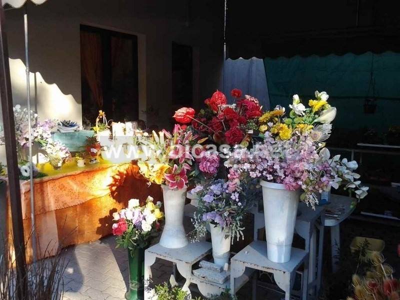 immagine annuncio 6 di 11