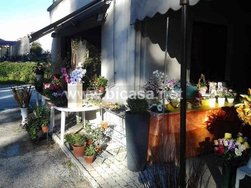 immagine annuncio 7 di 11