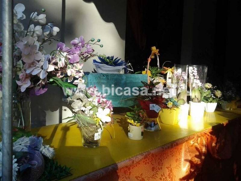 immagine annuncio 8 di 11