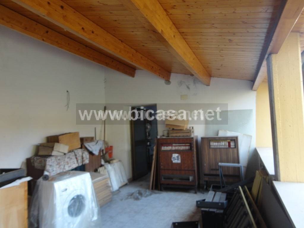 immagine annuncio 11 di 14