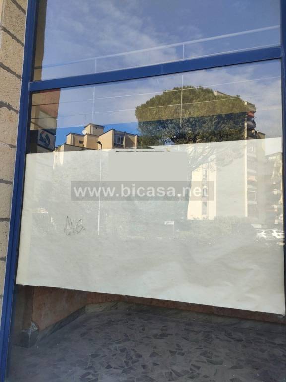 immagine annuncio 5 di 8