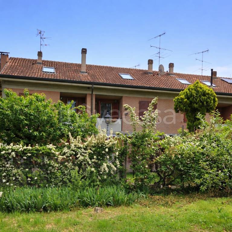 immagine annuncio 1 di 8