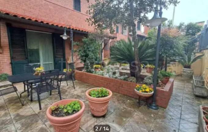 immagine annuncio 2 di 15