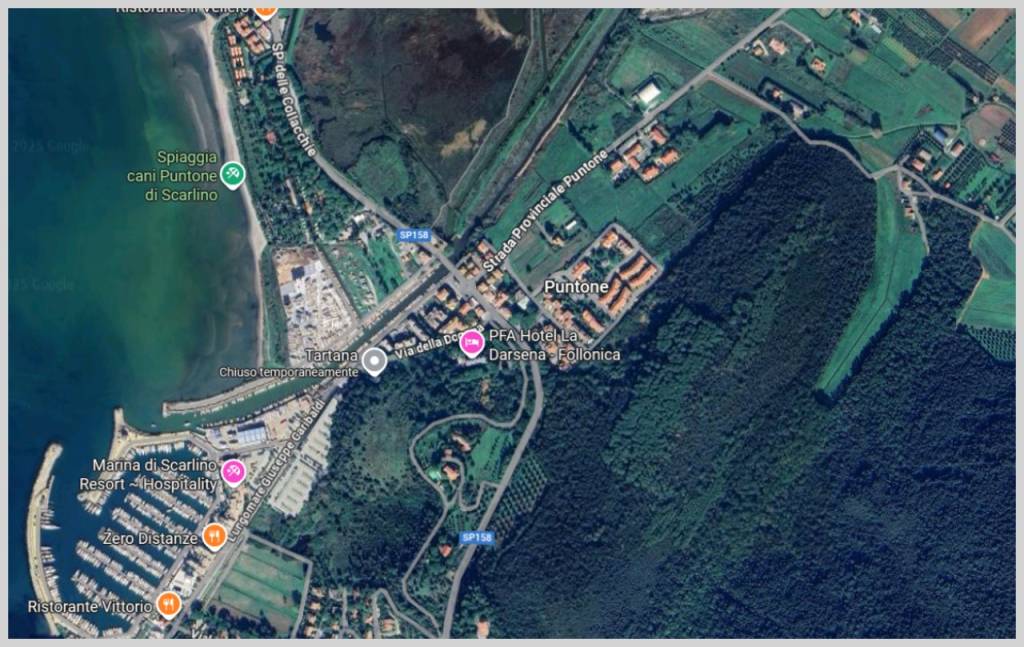 immagine annuncio 12 di 15