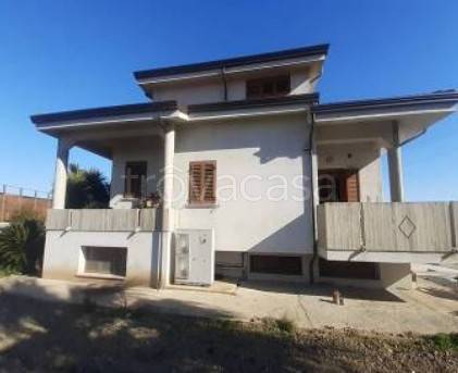 immagine annuncio 2 di 12