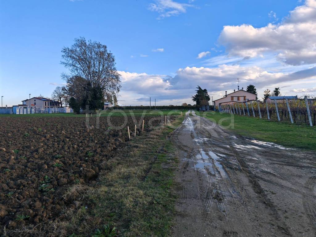 immagine annuncio 1 di 6