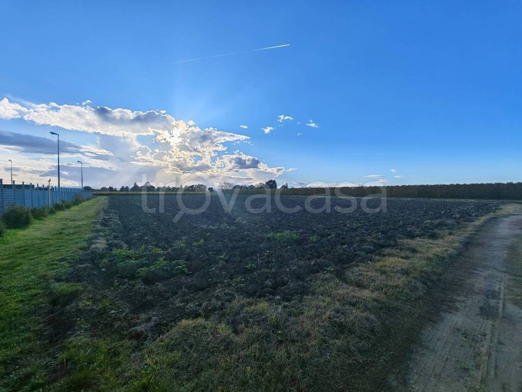 immagine annuncio 2 di 6