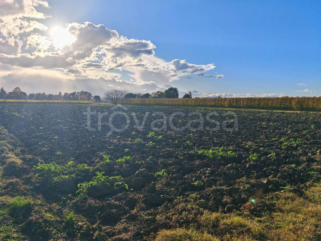 immagine annuncio 3 di 6