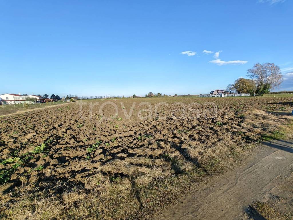 immagine annuncio 4 di 6