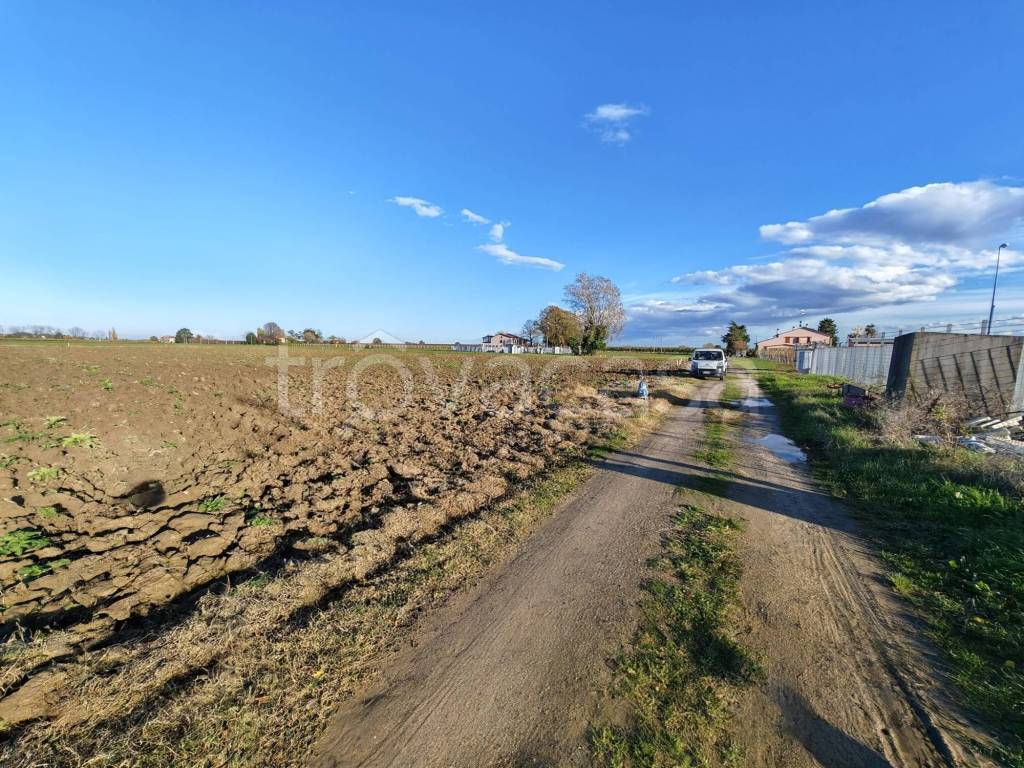 immagine annuncio 5 di 6