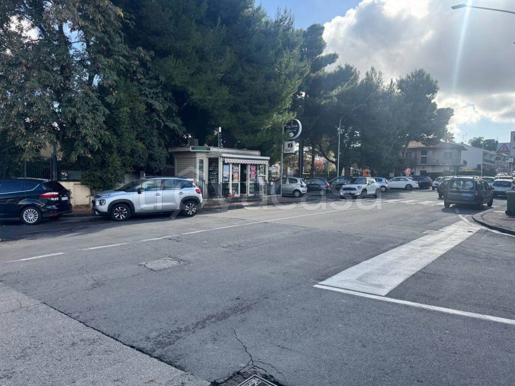 immagine annuncio 2 di 11