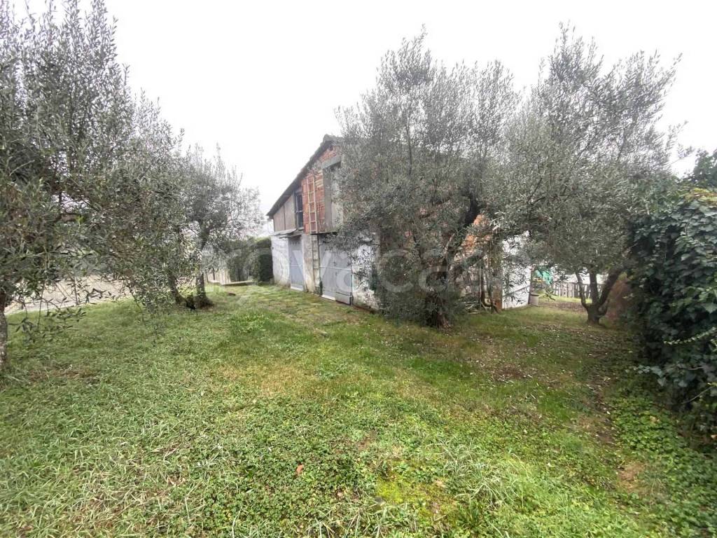 immagine annuncio 2 di 12