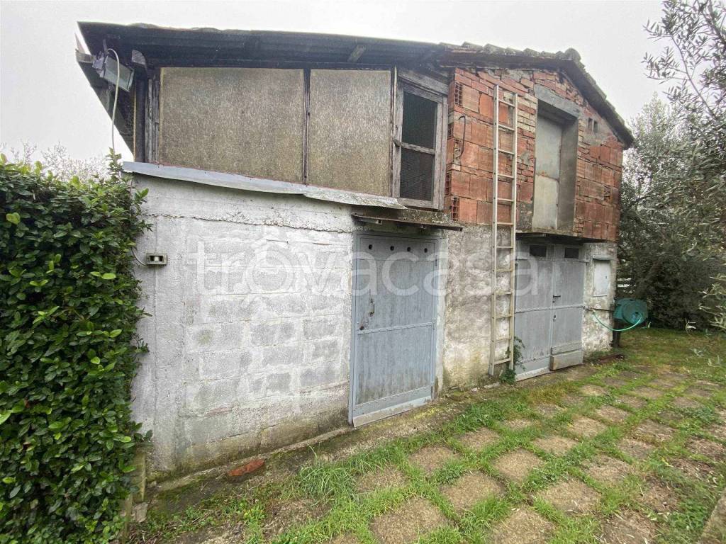 immagine annuncio 4 di 12