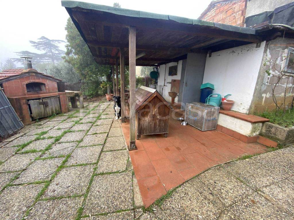 immagine annuncio 5 di 12