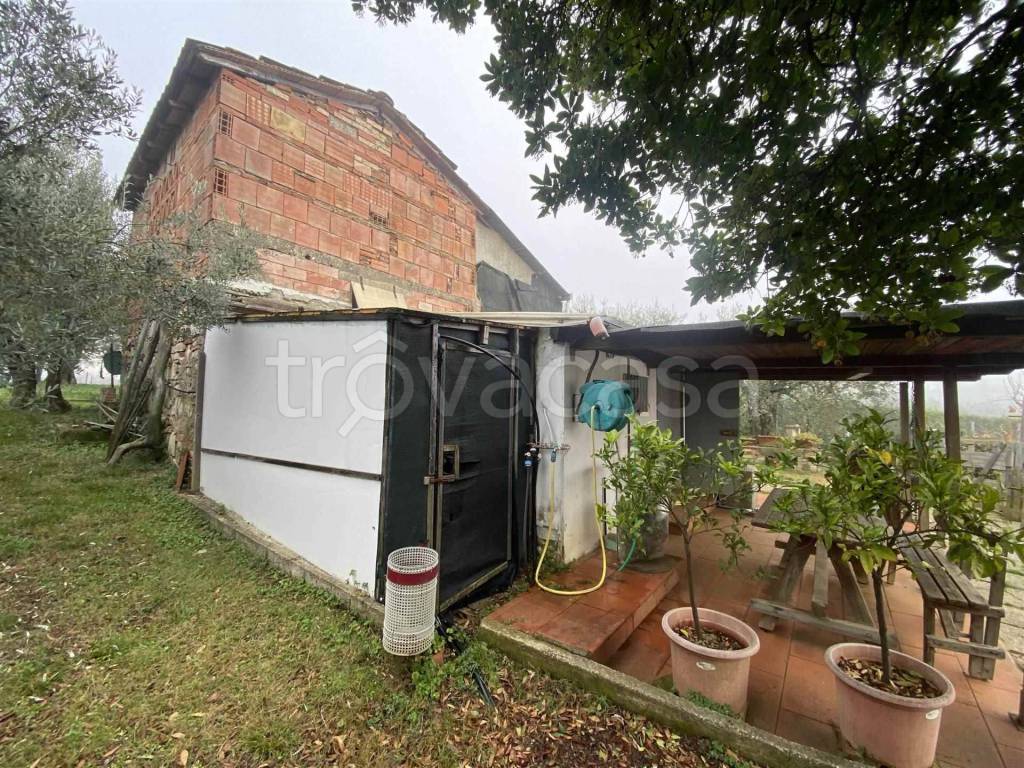 immagine annuncio 6 di 12