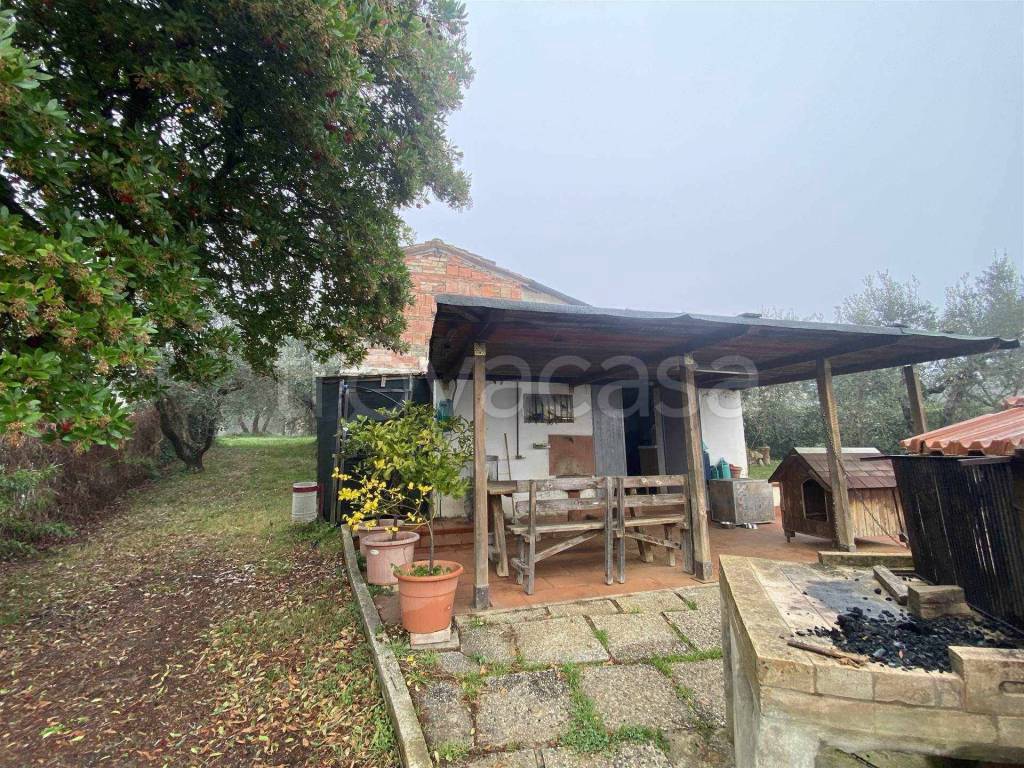 immagine annuncio 7 di 12