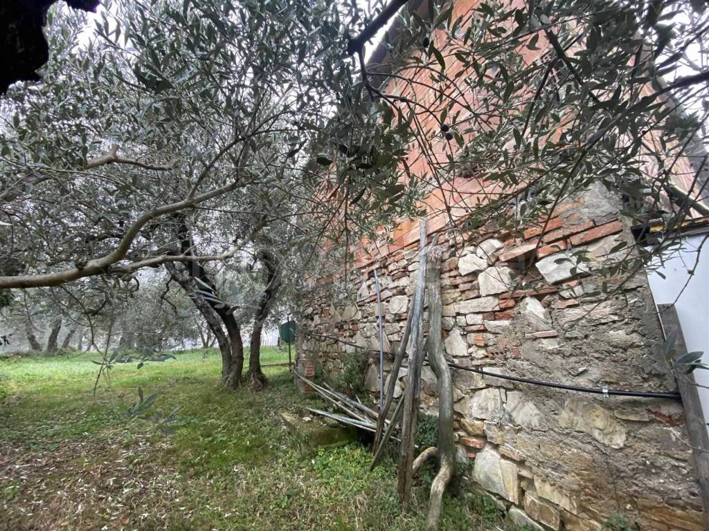 immagine annuncio 8 di 12