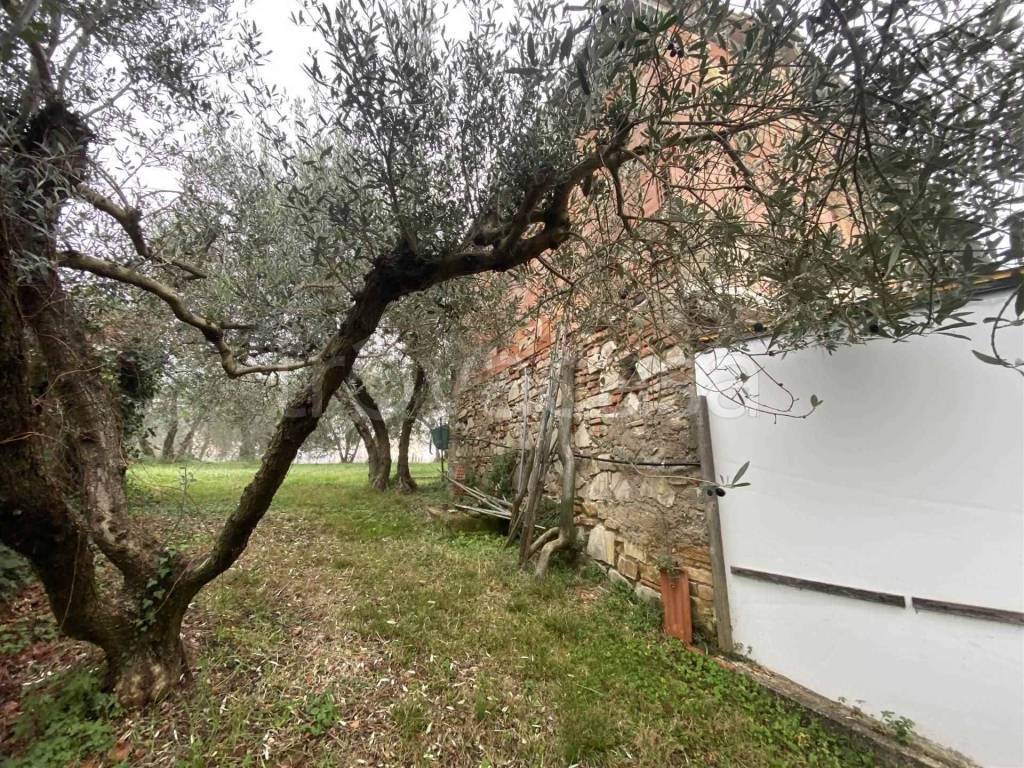 immagine annuncio 9 di 12