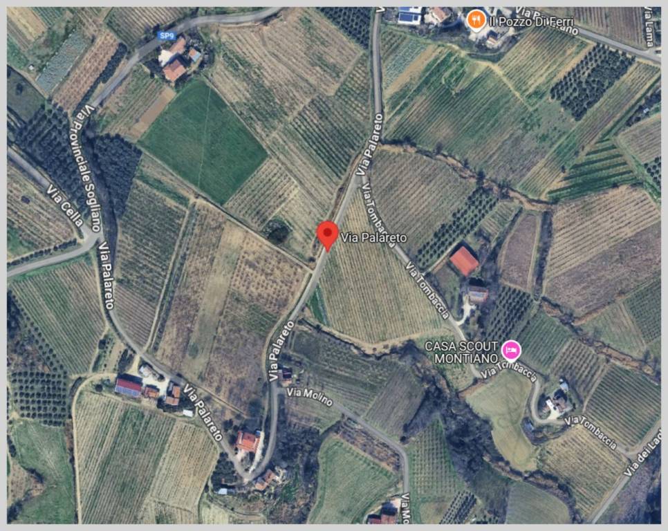 immagine annuncio 11 di 15