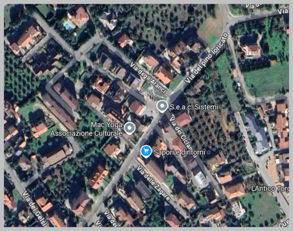 immagine annuncio 12 di 15