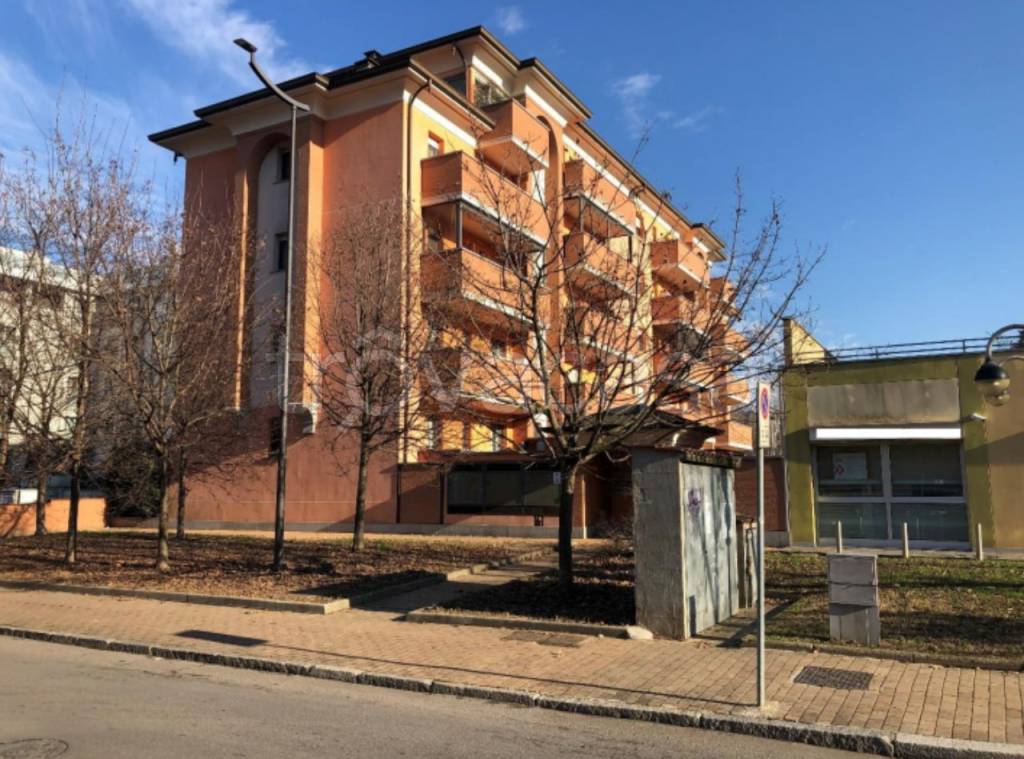 immagine annuncio 1 di 15