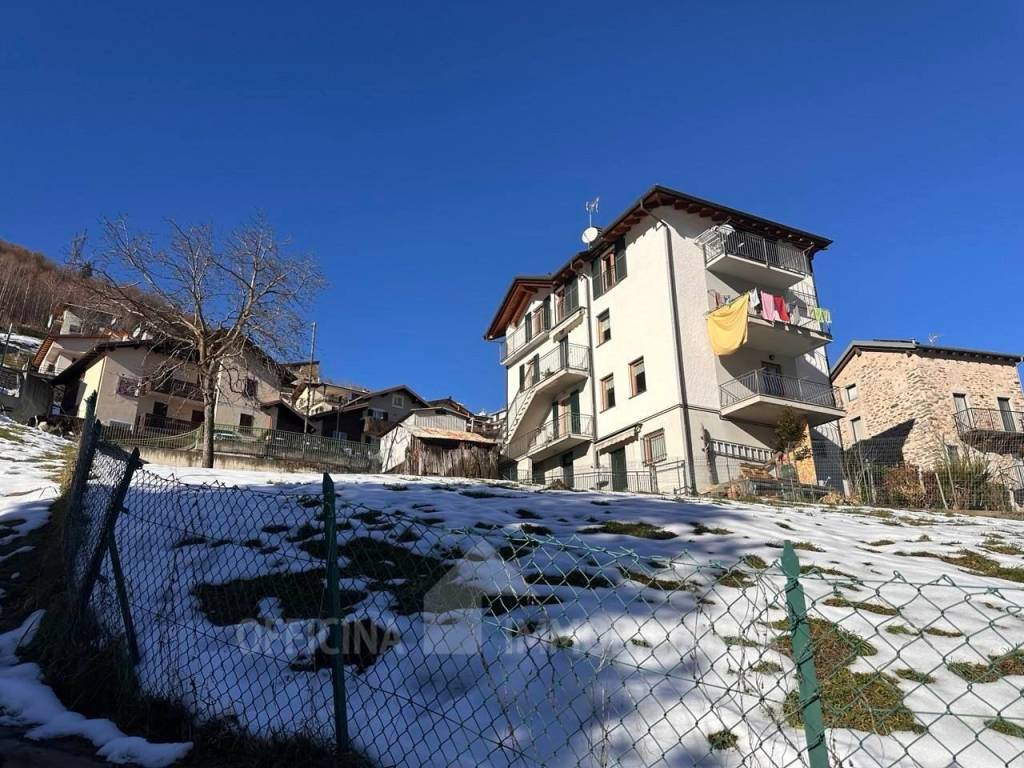 immagine annuncio 2 di 11