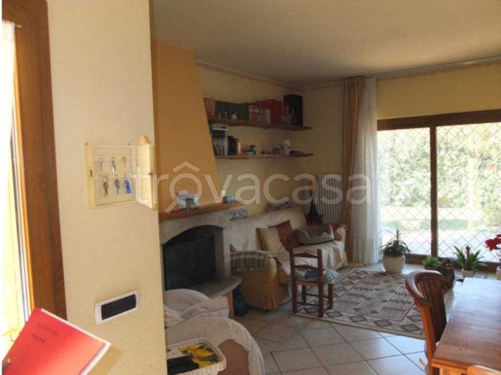 immagine annuncio 9 di 15