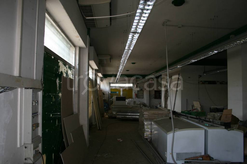 immagine annuncio 2 di 9