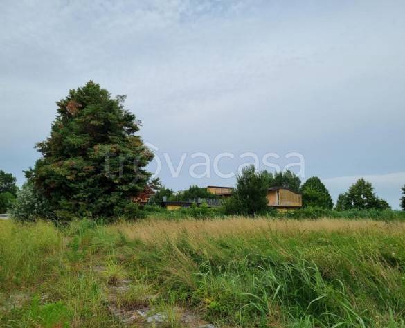 immagine annuncio 4 di 9