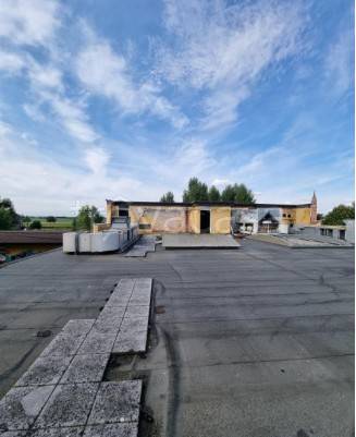 immagine annuncio 7 di 9