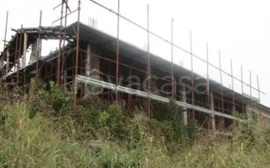 immagine annuncio 3 di 8