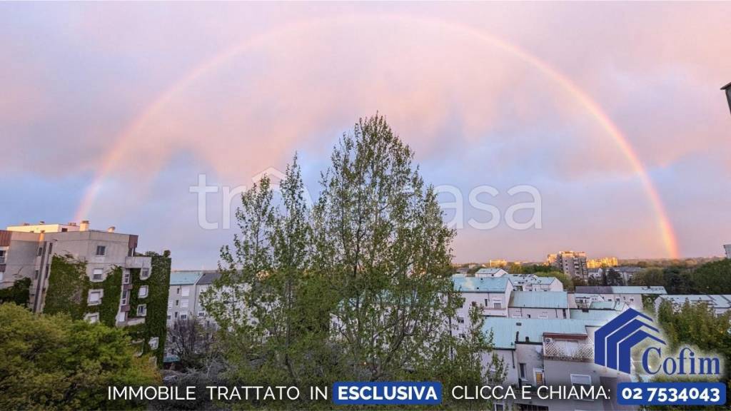 immagine annuncio 2 di 6