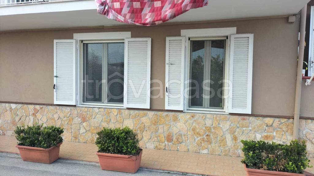 immagine annuncio 3 di 7