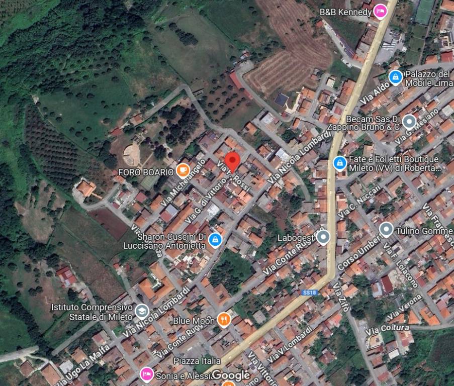 immagine annuncio 3 di 15