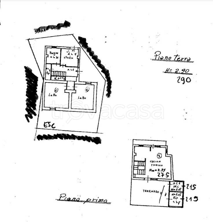 immagine annuncio 5 di 15