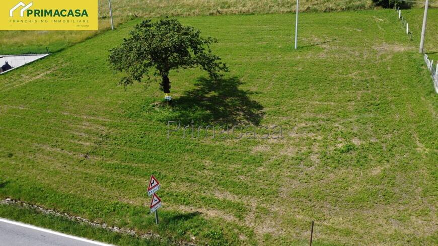 immagine annuncio 7 di 14