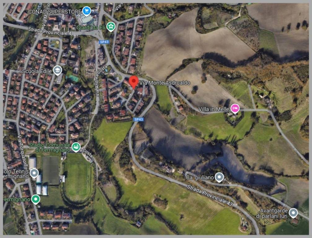 immagine annuncio 12 di 15